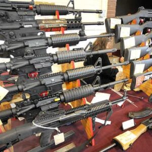 Dixie Charlotte Gun & Knife Show
