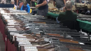 Albany Gun Show