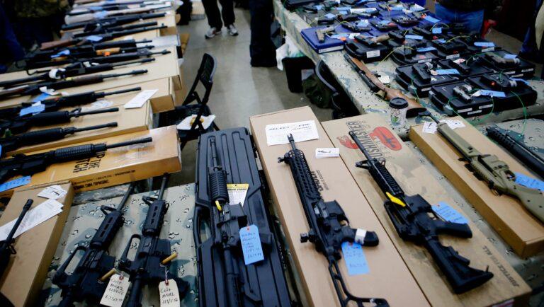 Menomonee Falls Gun Show