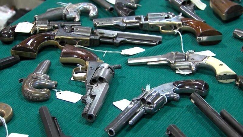 Barboursville 4H Camp Gun Show