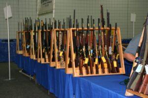 New Albin Gun Show