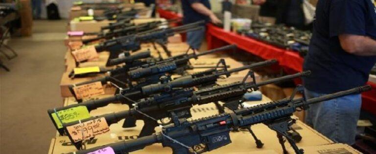 Onalaska Omni Center Gun Show